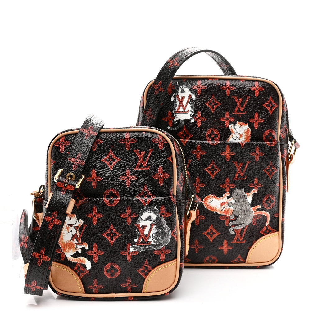 Louis Vuitton Catogram Paname Set Marron