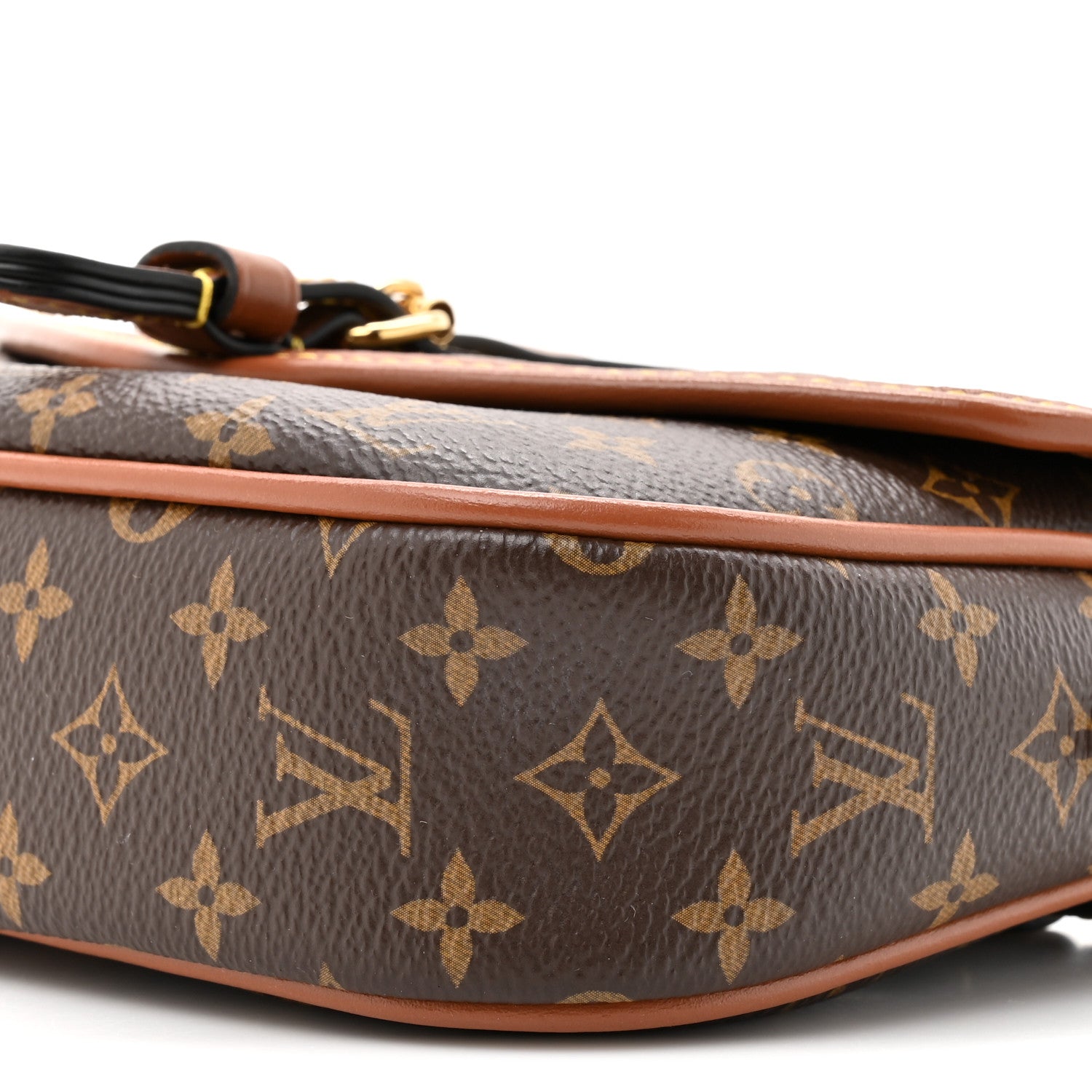 Louis Vuitton Monogram Solo
