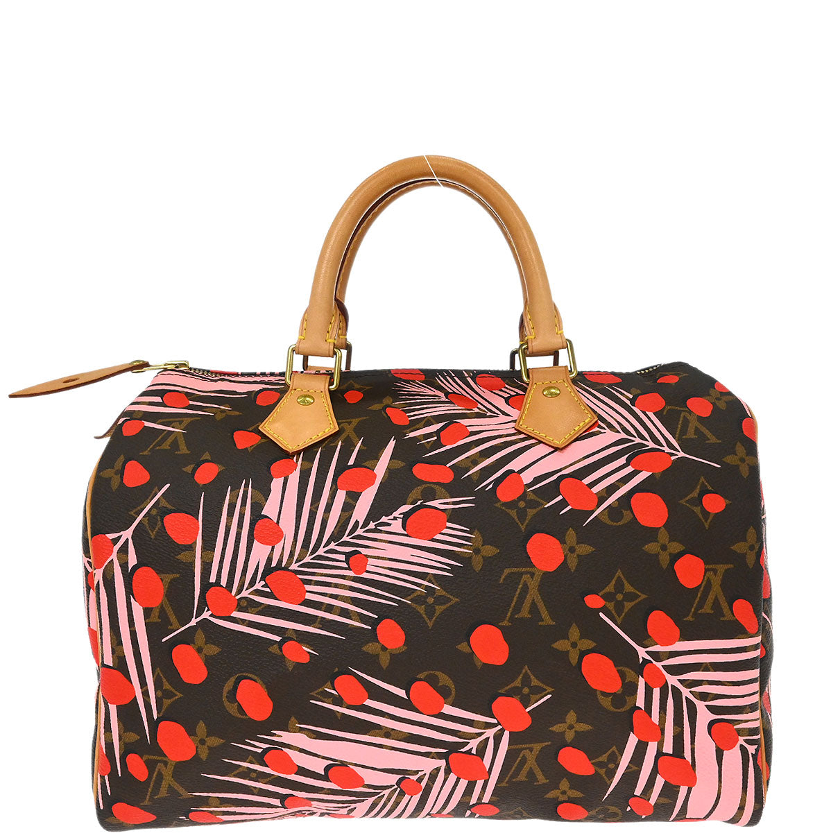 Louis Vuitton Monogram Jungle Dot Speedy 30 Handbag M41983