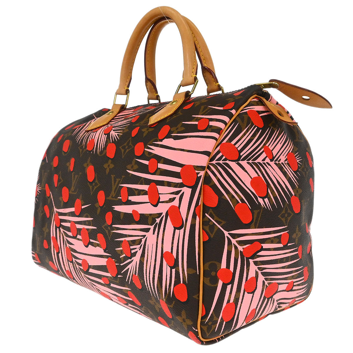 Louis Vuitton Monogram Jungle Dot Speedy 30 Handbag M41983