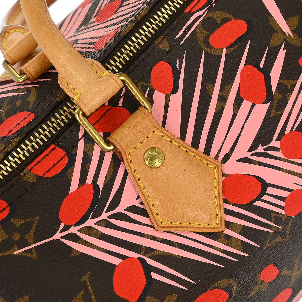 Louis Vuitton Monogram Jungle Dot Speedy 30 Handbag M41983