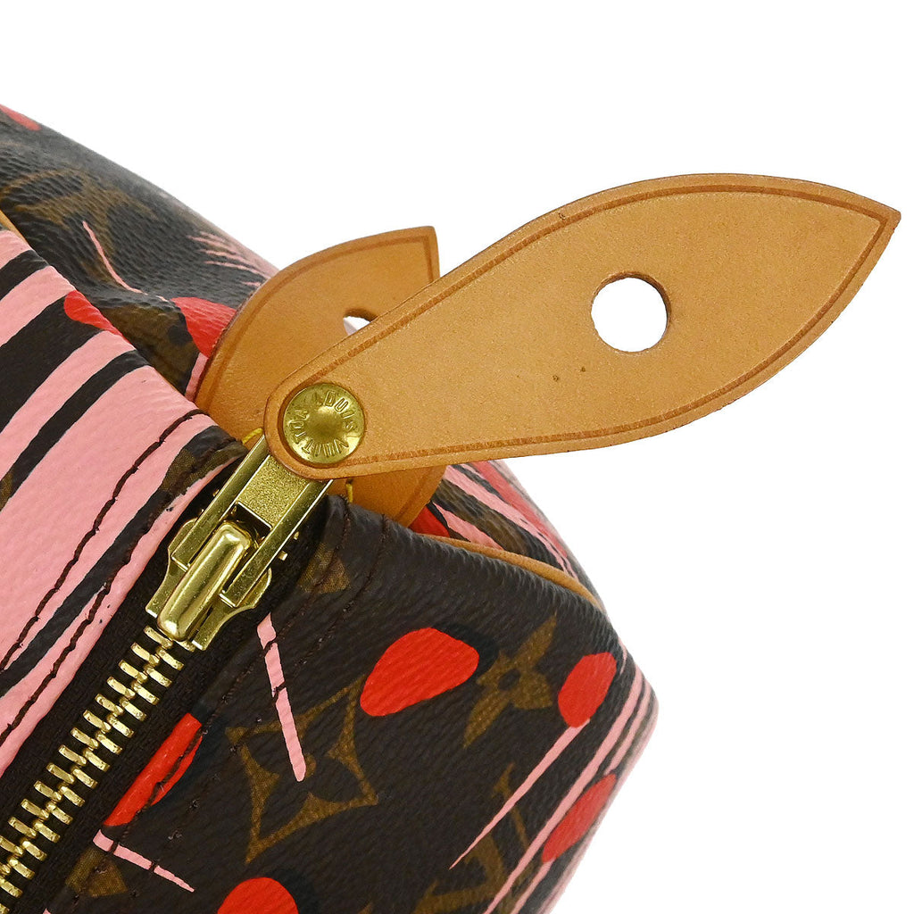 Louis Vuitton Monogram Jungle Dot Speedy 30 Handbag M41983