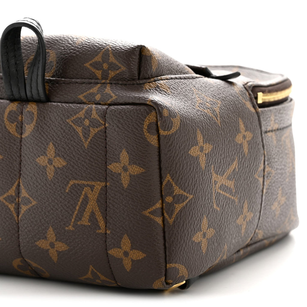 Louis Vuitton Monogram Palm Springs Backpack Mini