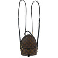 Louis Vuitton Palm Springs Mini Backpack M44873