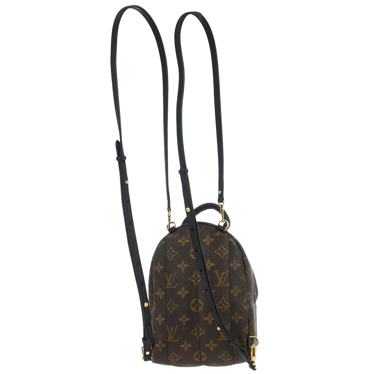 Louis Vuitton Palm Springs Mini Backpack M44873