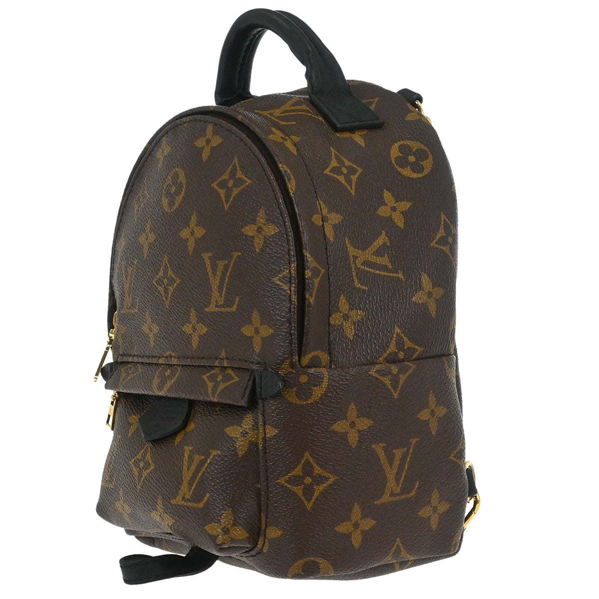 Louis Vuitton Palm Springs Mini Backpack M44873