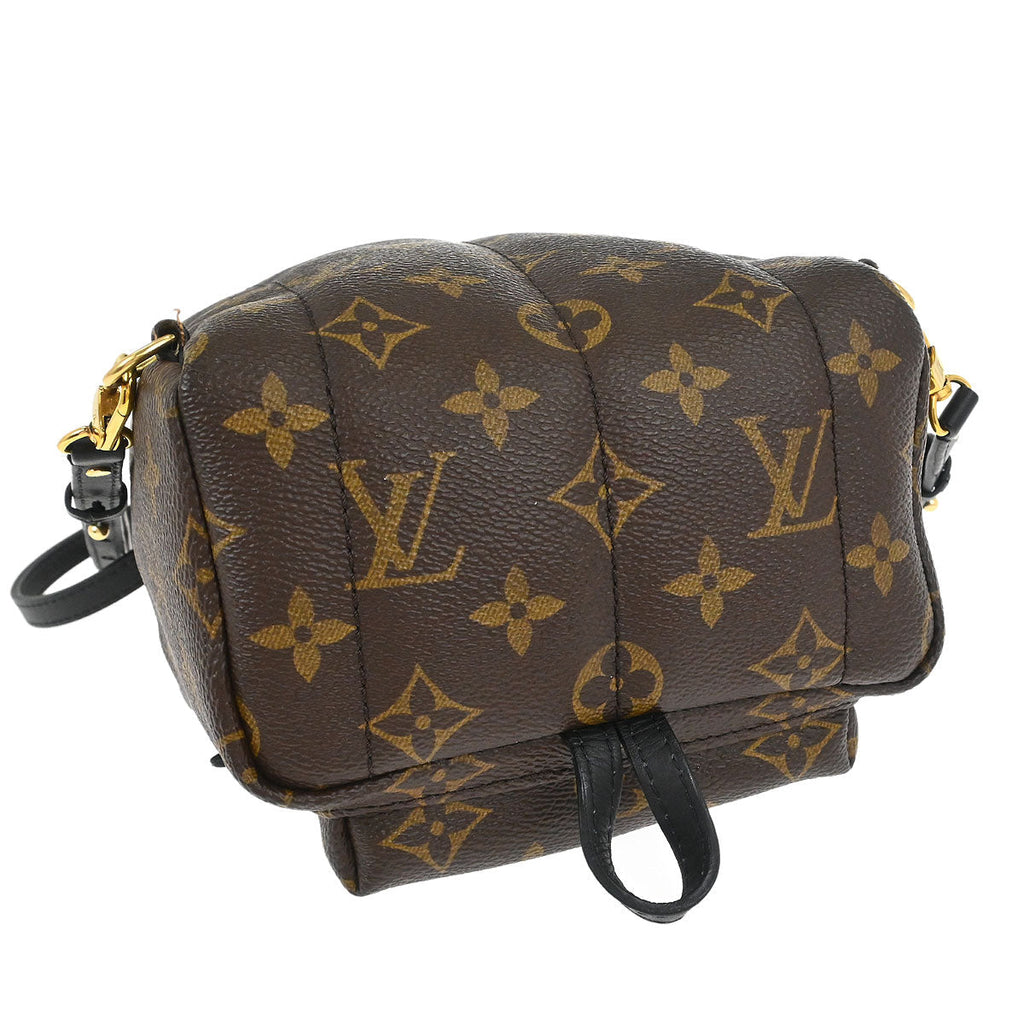 Louis Vuitton Palm Springs Mini Backpack M44873