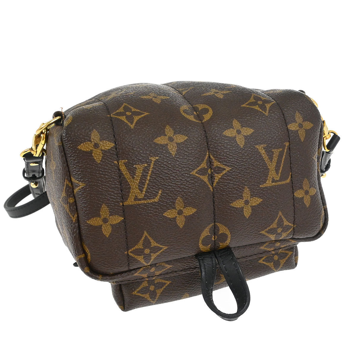 Louis Vuitton Palm Springs Mini Backpack M44873