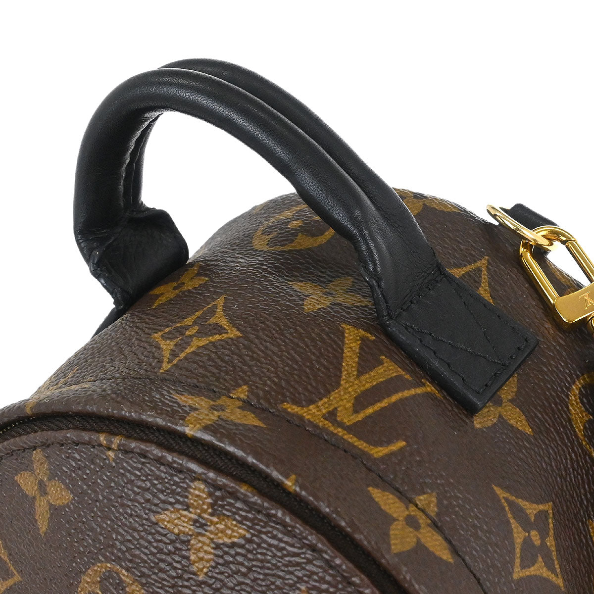 Louis Vuitton Palm Springs Mini Backpack M44873