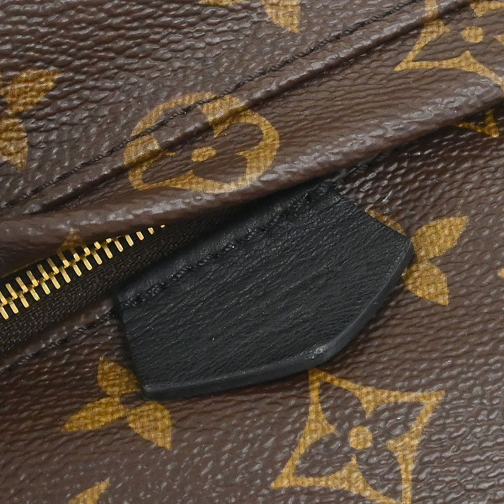 Louis Vuitton Palm Springs Mini Backpack M44873