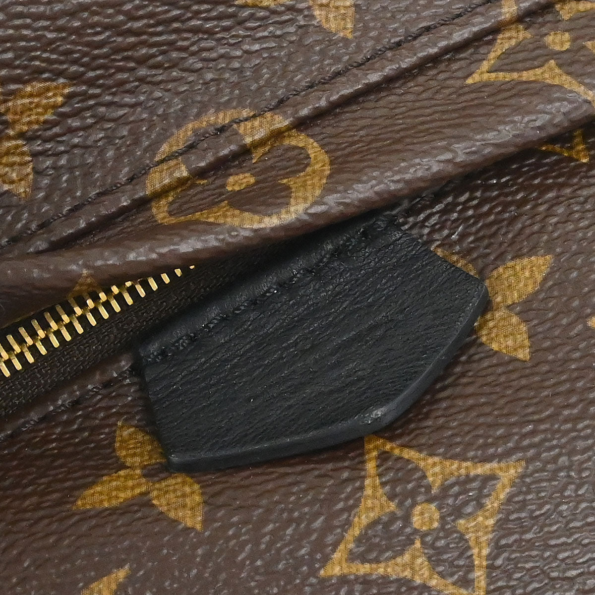 Louis Vuitton Palm Springs Mini Backpack M44873