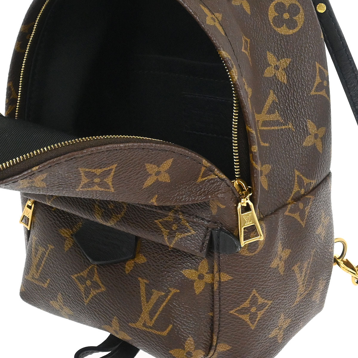 Louis Vuitton Palm Springs Mini Backpack M44873