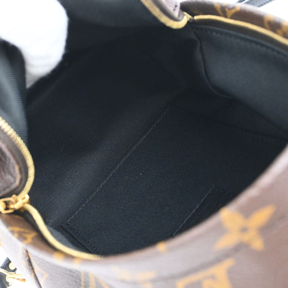 Louis Vuitton Palm Springs Mini Backpack M44873