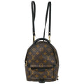 Louis Vuitton Palm Springs Mini Backpack M44873