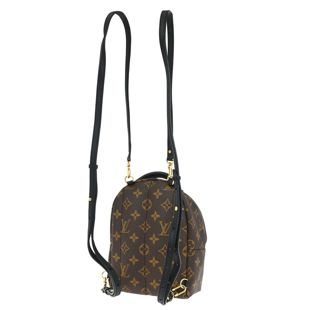 Louis Vuitton Palm Springs Mini Backpack M44873