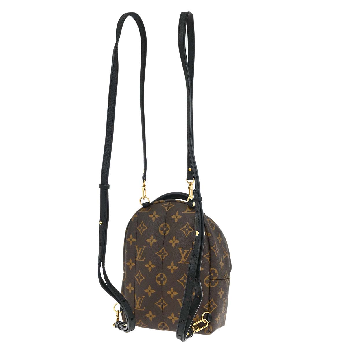 Louis Vuitton Palm Springs Mini Backpack M44873