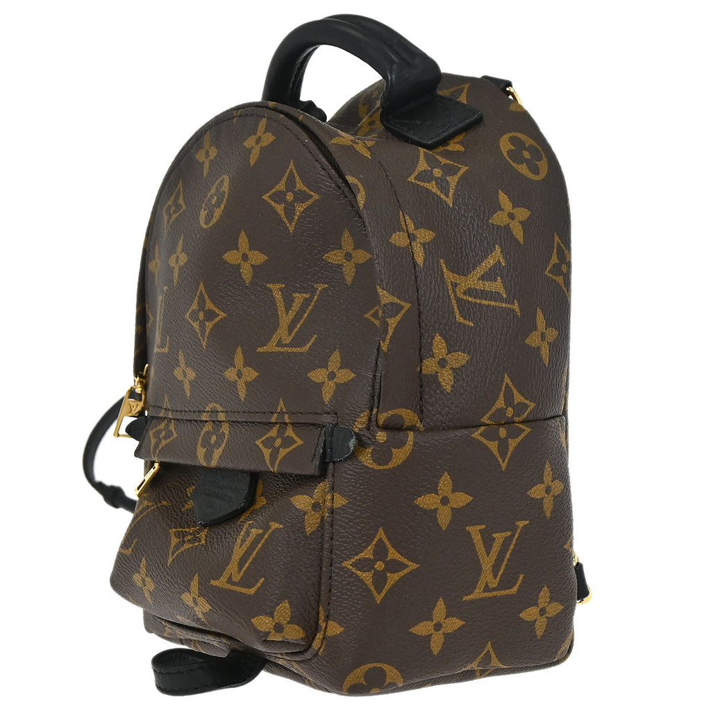Louis Vuitton Palm Springs Mini Backpack M44873