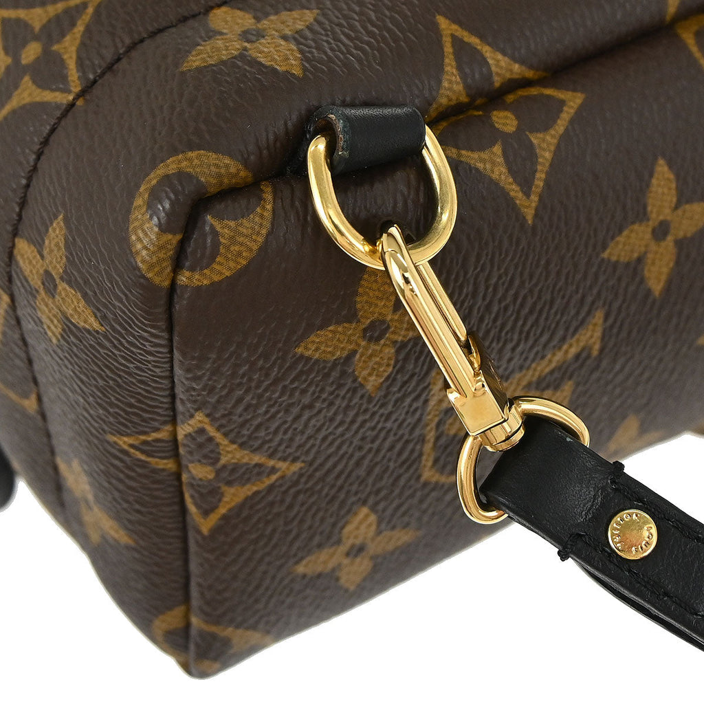Louis Vuitton Palm Springs Mini Backpack M44873
