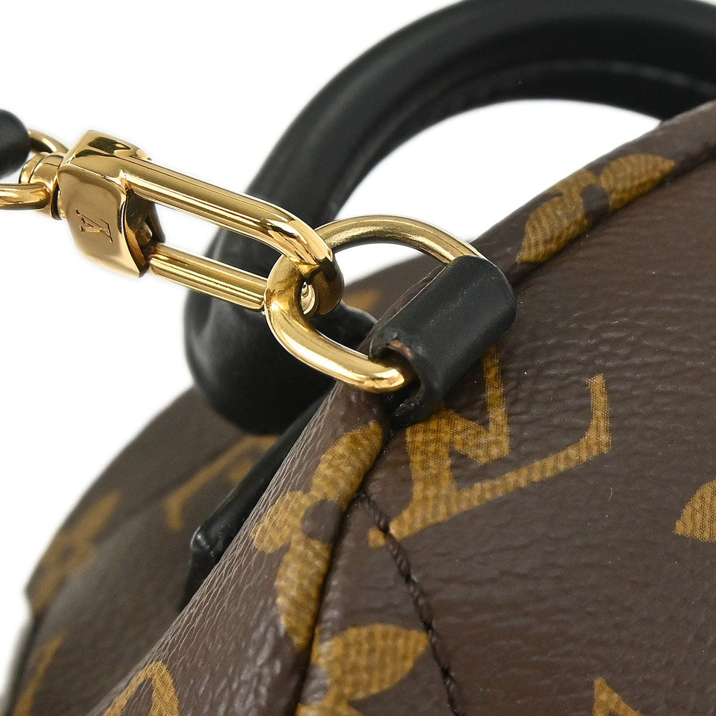 Louis Vuitton Palm Springs Mini Backpack M44873