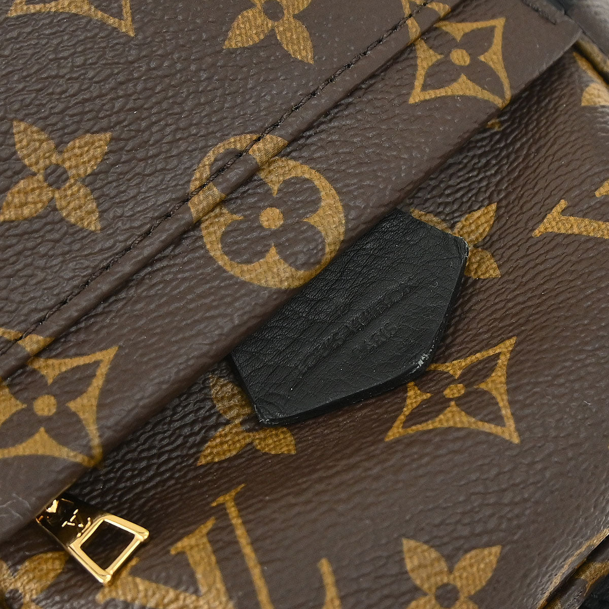 Louis Vuitton Palm Springs Mini Backpack M44873