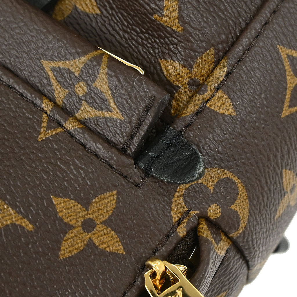 Louis Vuitton Palm Springs Mini Backpack M44873