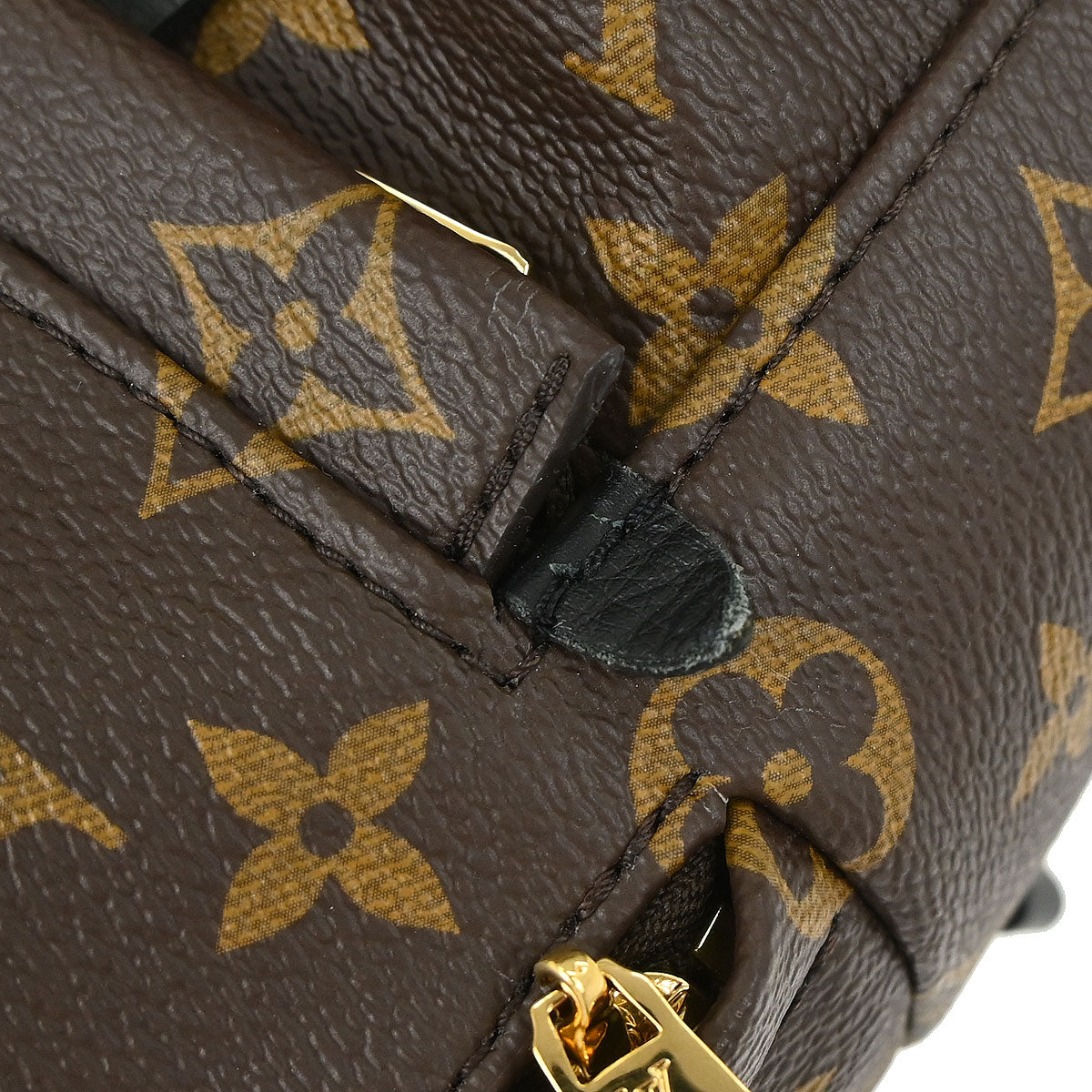 Louis Vuitton Palm Springs Mini Backpack M44873