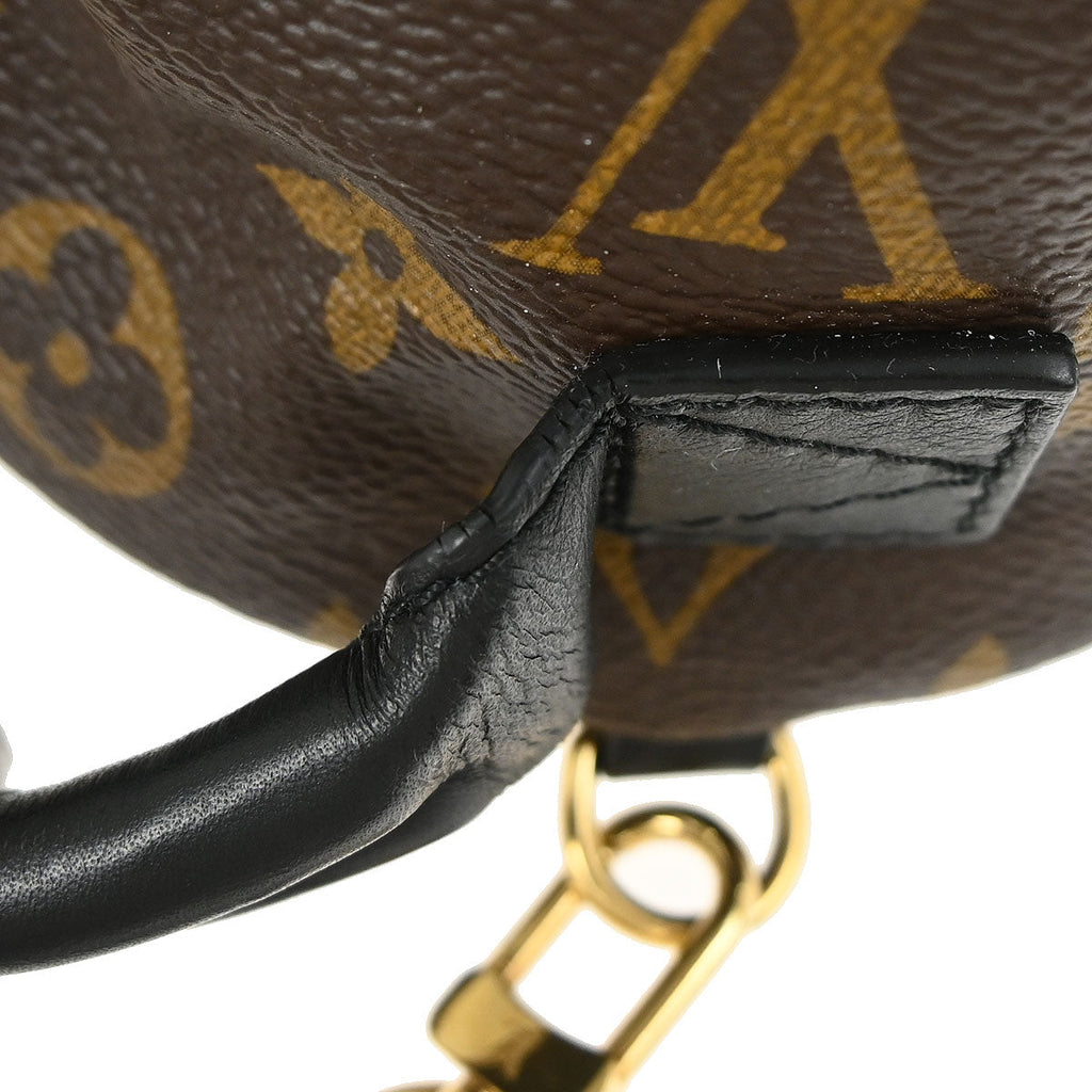 Louis Vuitton Palm Springs Mini Backpack M44873