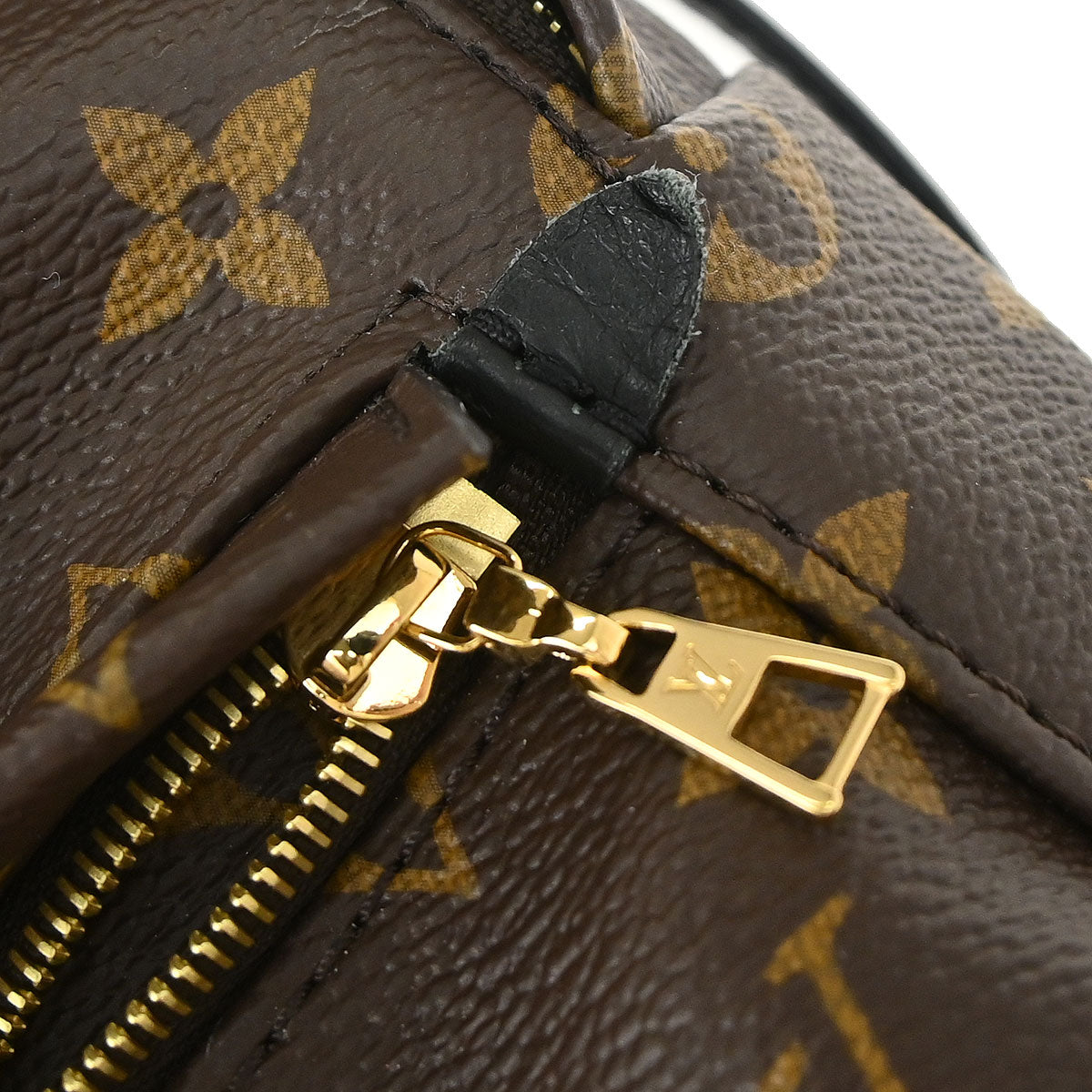 Louis Vuitton Palm Springs Mini Backpack M44873
