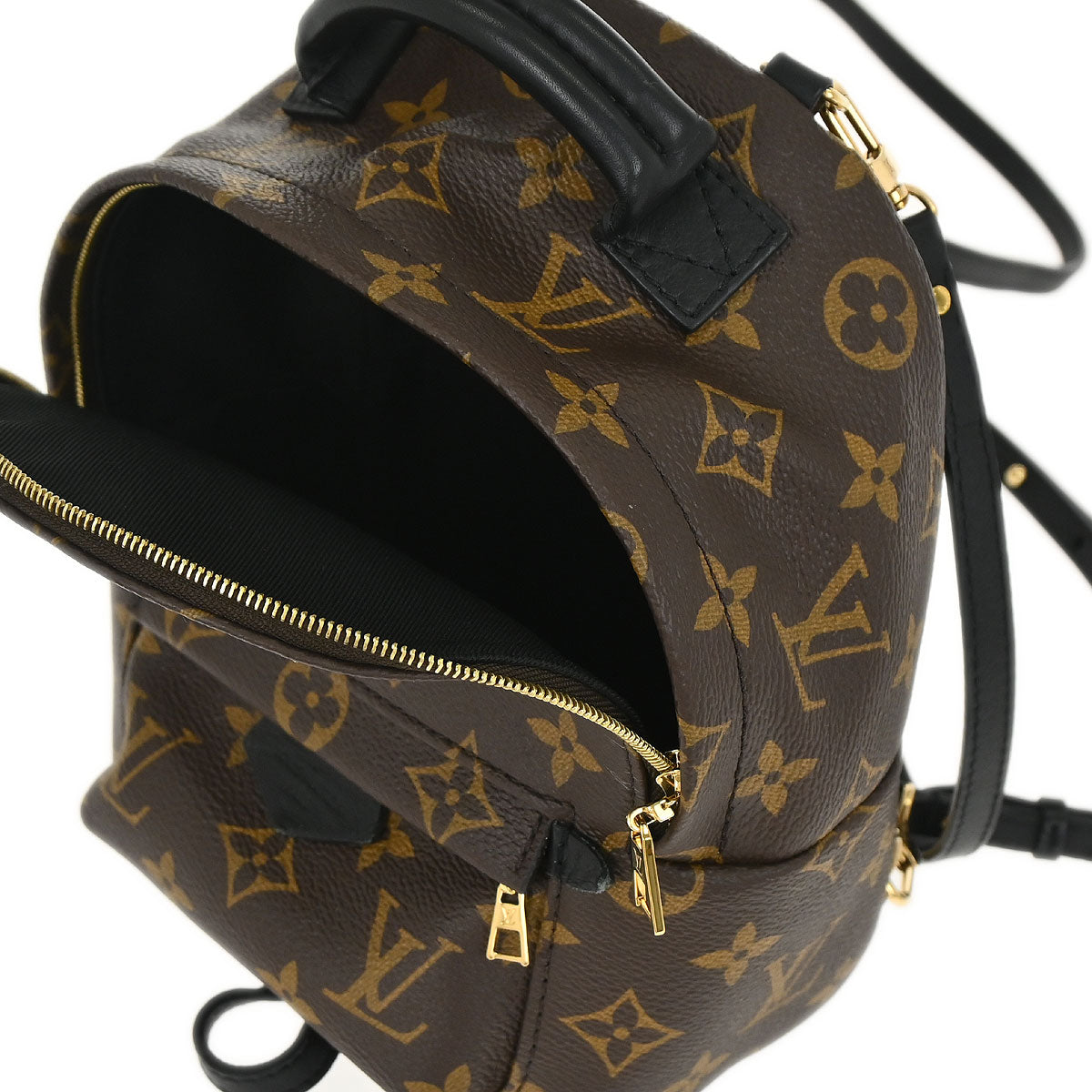 Louis Vuitton Palm Springs Mini Backpack M44873