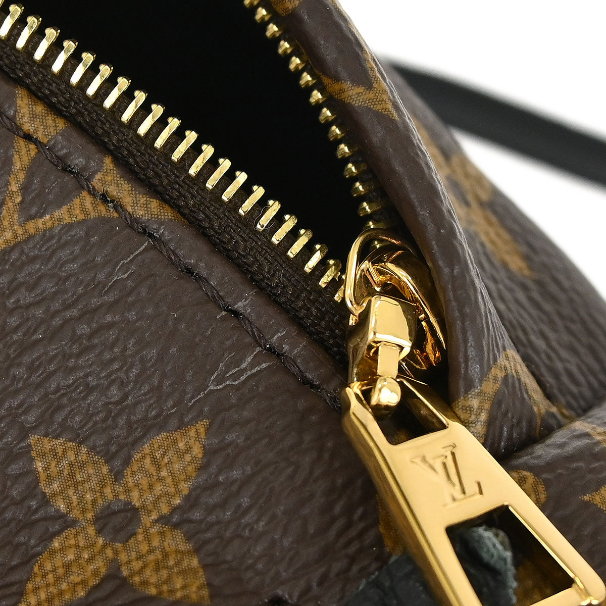 Louis Vuitton Palm Springs Mini Backpack M44873