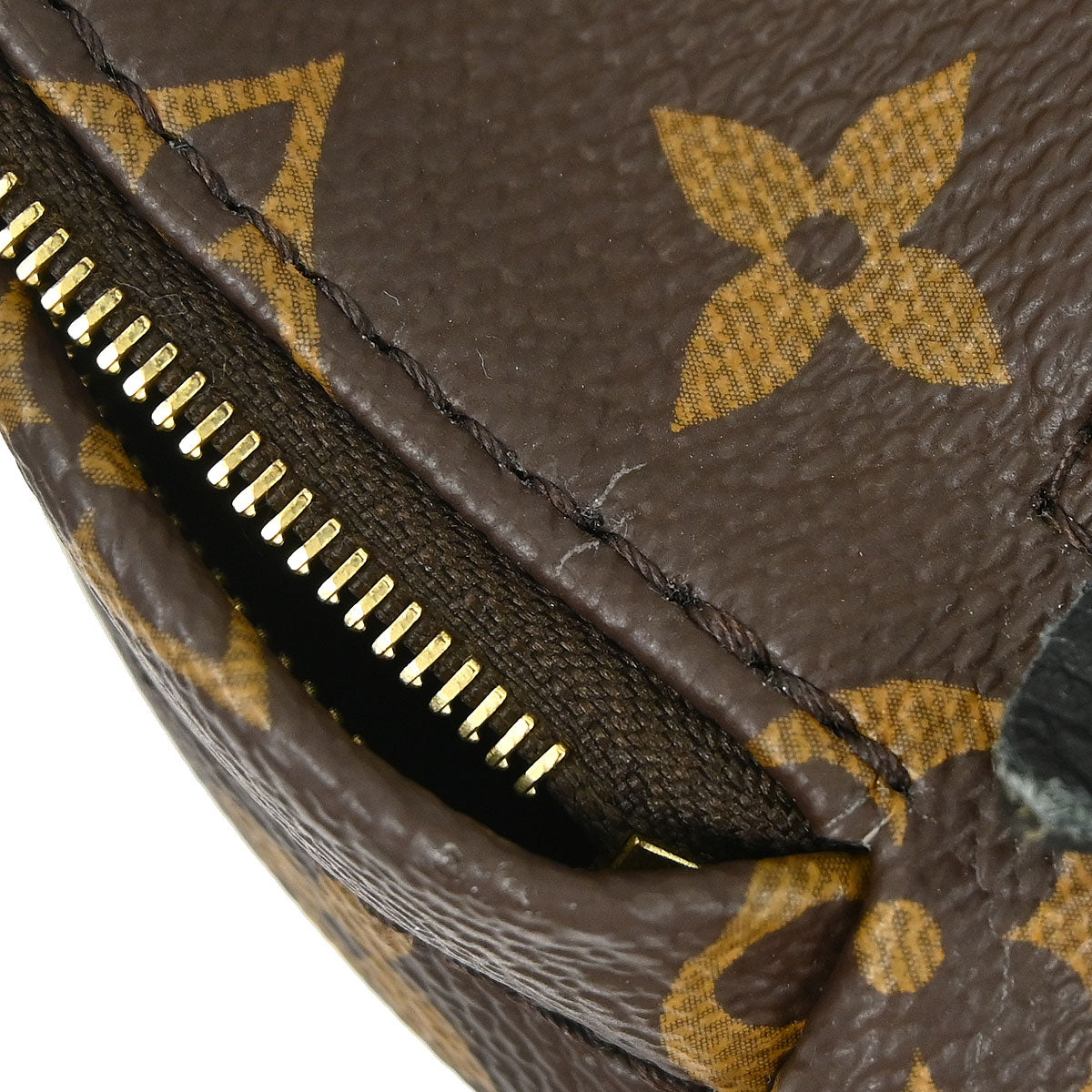 Louis Vuitton Palm Springs Mini Backpack M44873