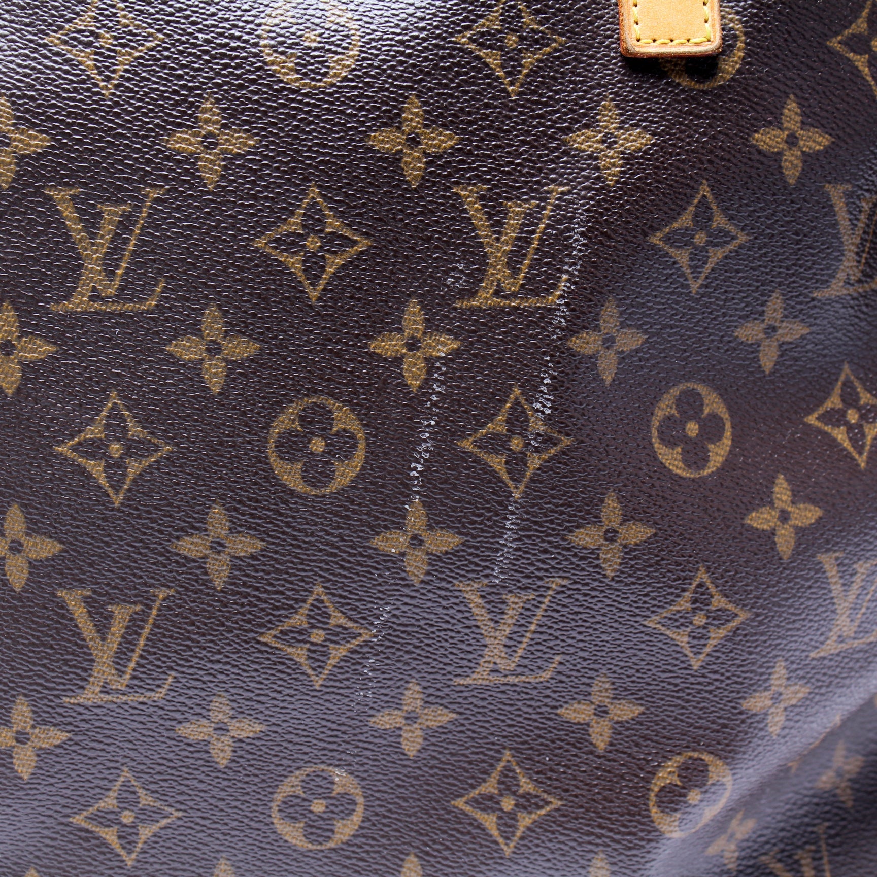 Cabas Mezzo Monogram