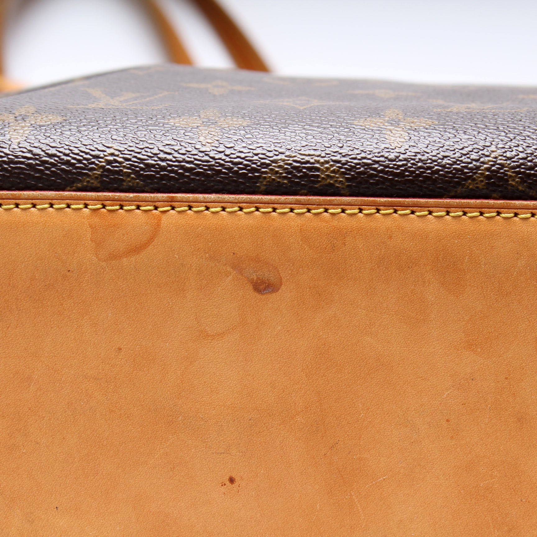Cabas Mezzo Monogram