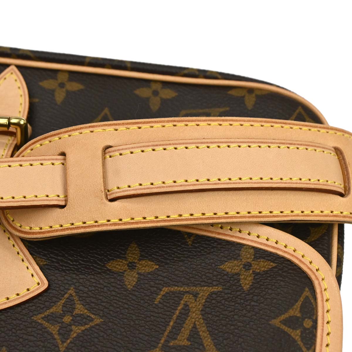Louis Vuitton Monogram Sologne Shoulder Bag M42250