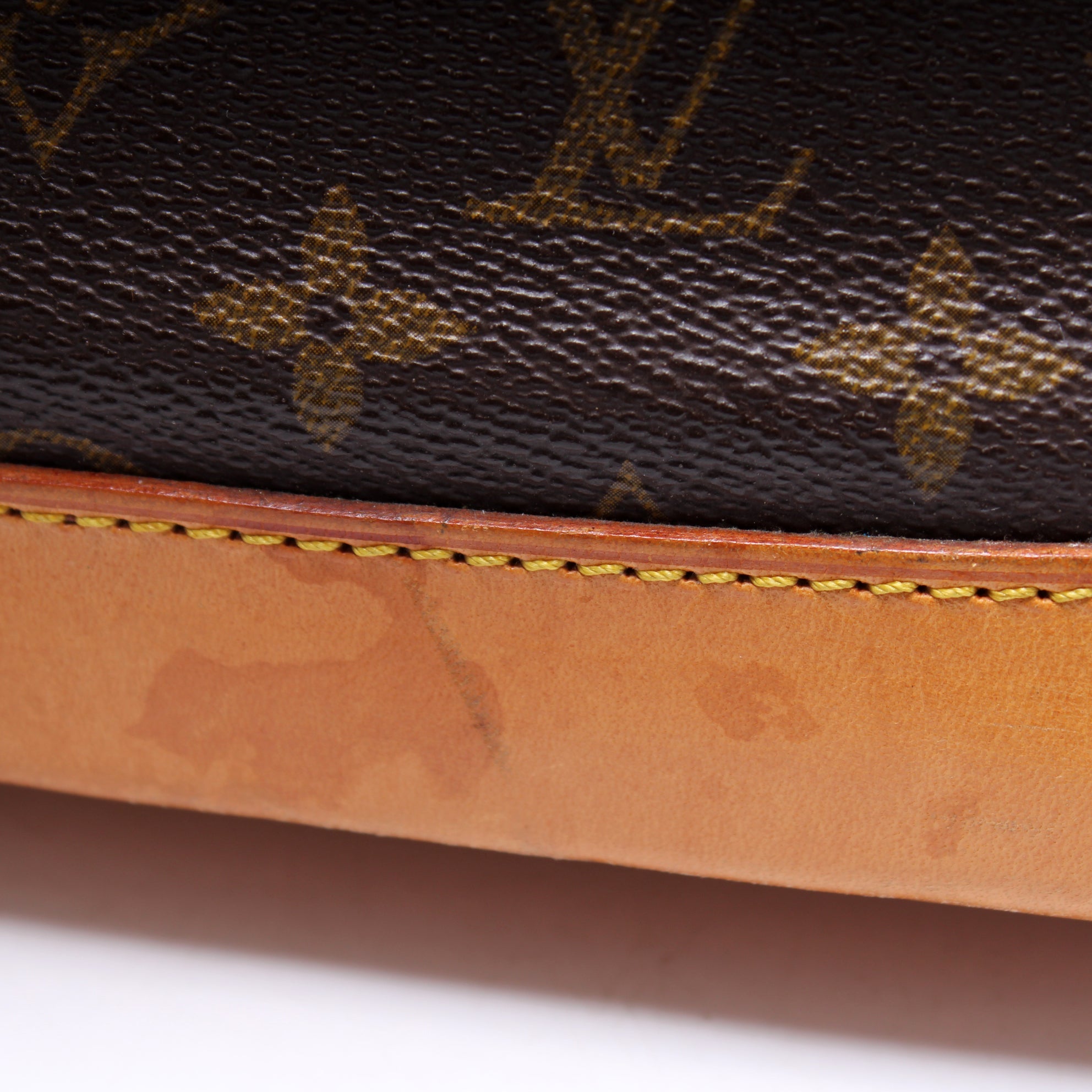 Alma PM Monogram Older