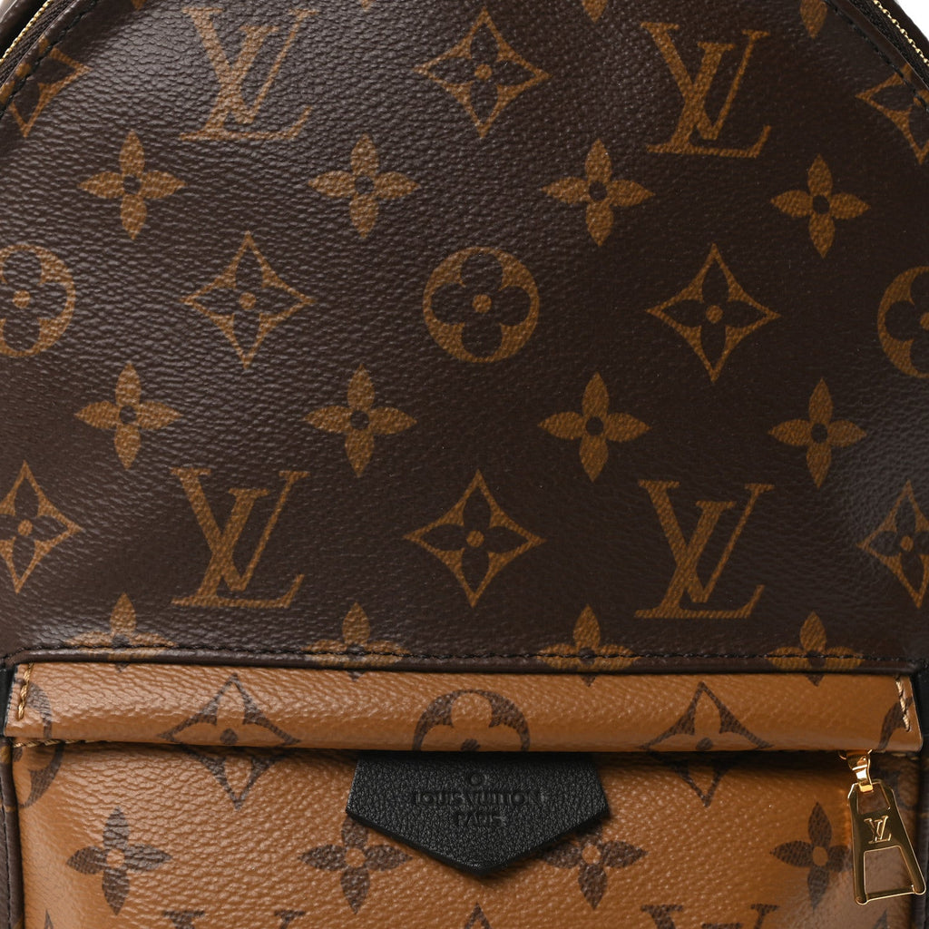 Louis Vuitton Reverse Monogram Palm Springs Backpack PM