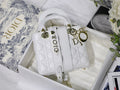 Dior Bags - 3453