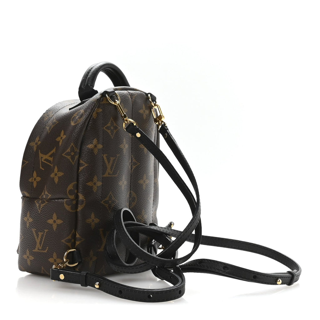Louis Vuitton Monogram Palm Springs Backpack Mini