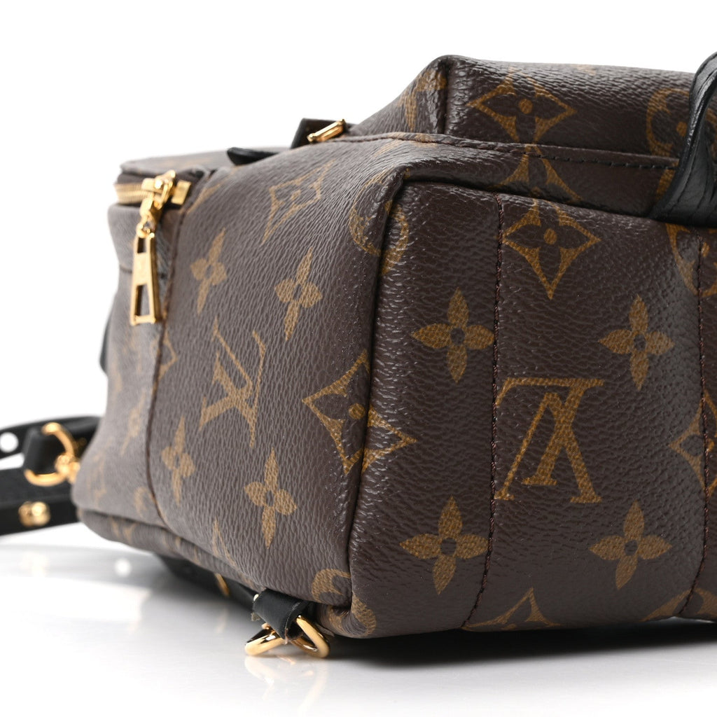 Louis Vuitton Monogram Palm Springs Backpack Mini
