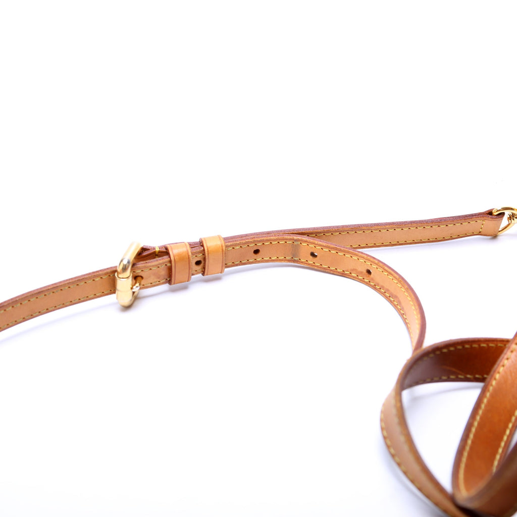 Palermo PM Monogram