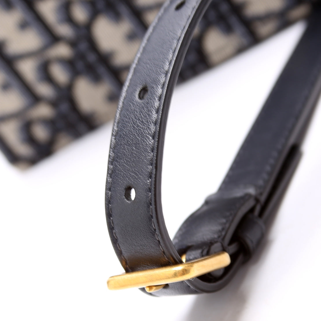 Slim Saddle Belt Bag Oblique