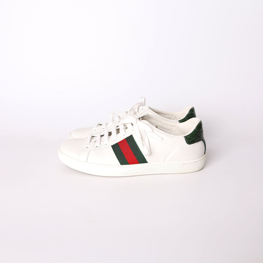 Gucci Ace Web Sneakers Size 37