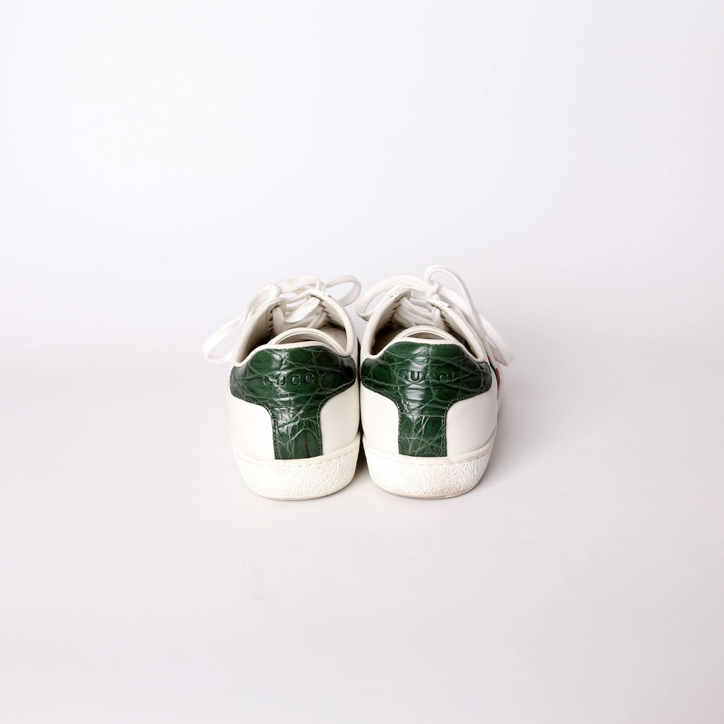 Gucci Ace Web Sneakers Size 37