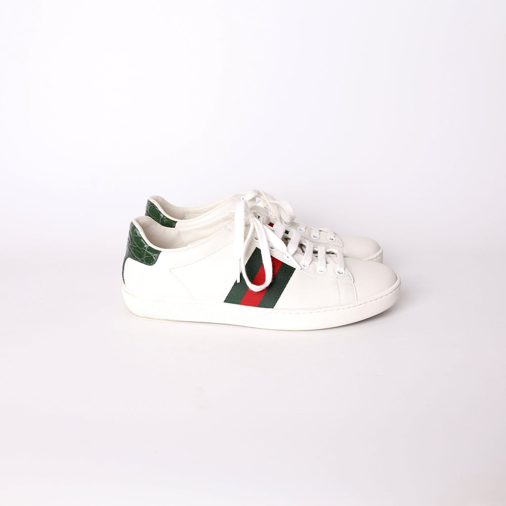 Gucci Ace Web Sneakers Size 37