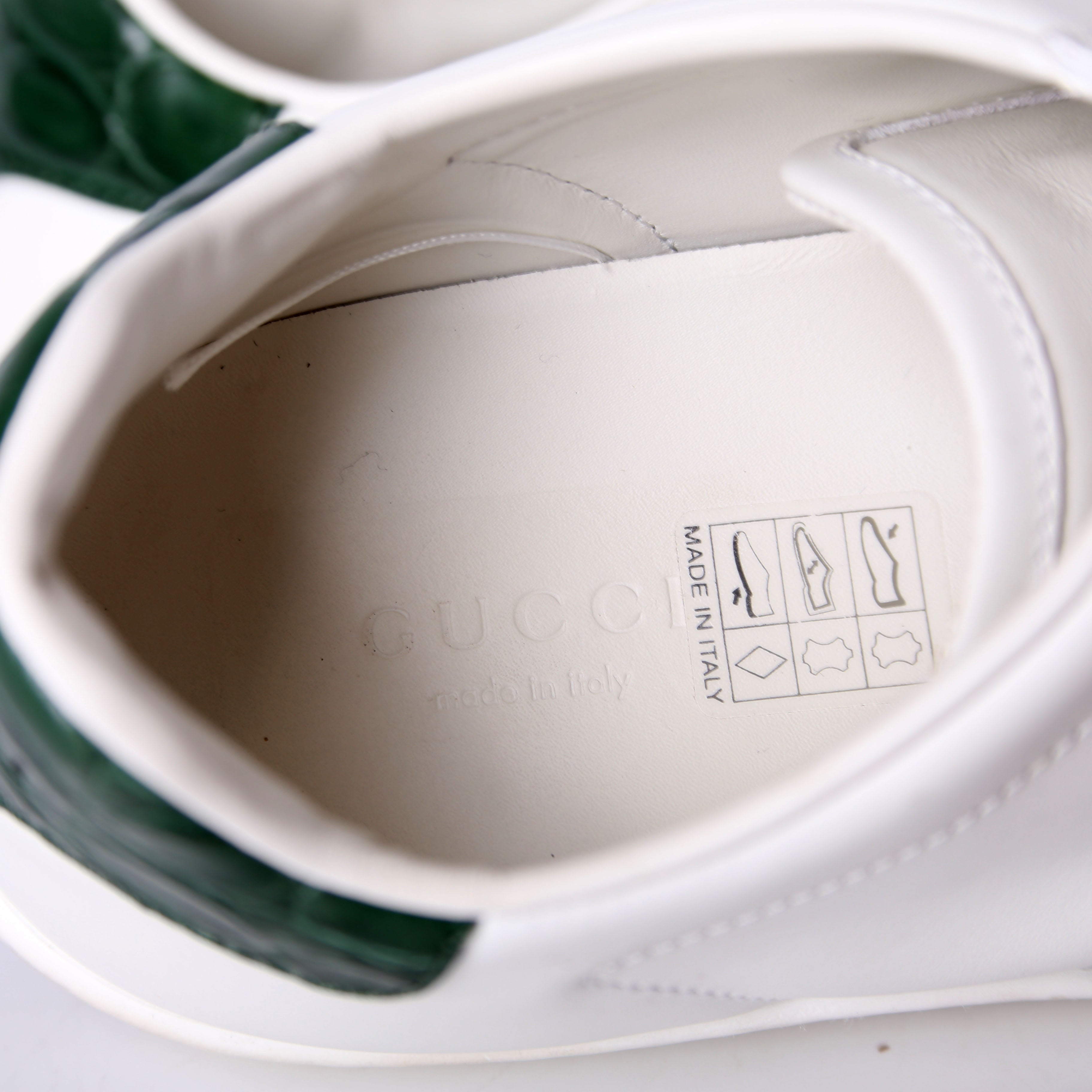 Gucci Ace Web Sneakers Size 37