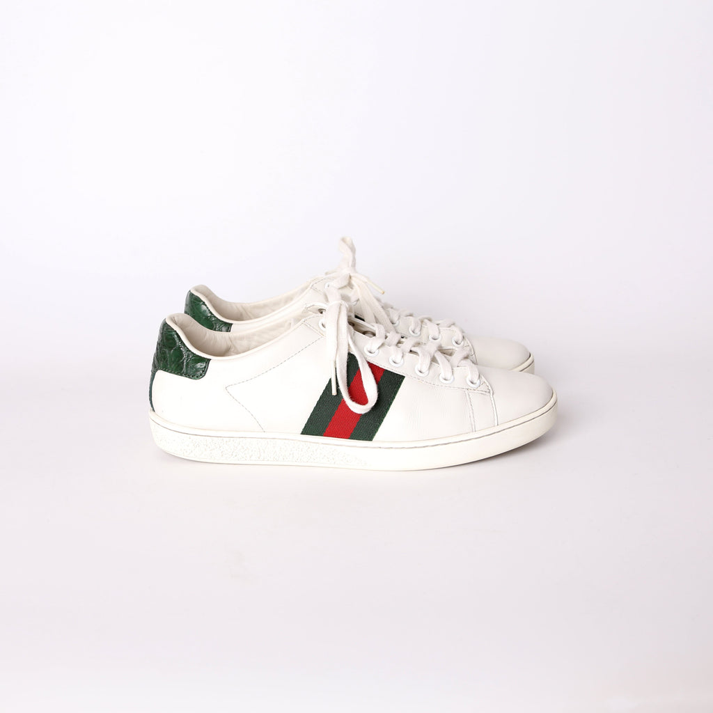 Gucci Ace Web Sneakers Size 36.5