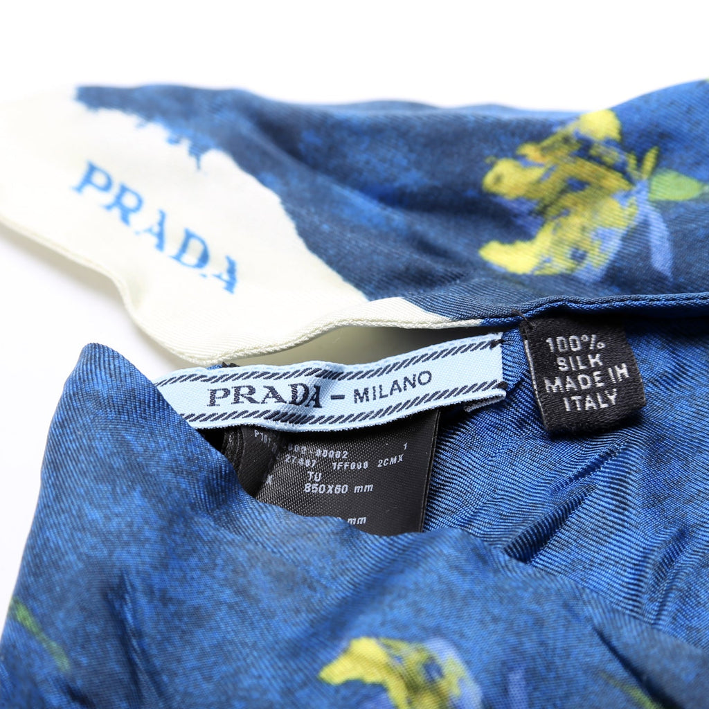 Printed Silk Twilly Scarf Blue/Multi