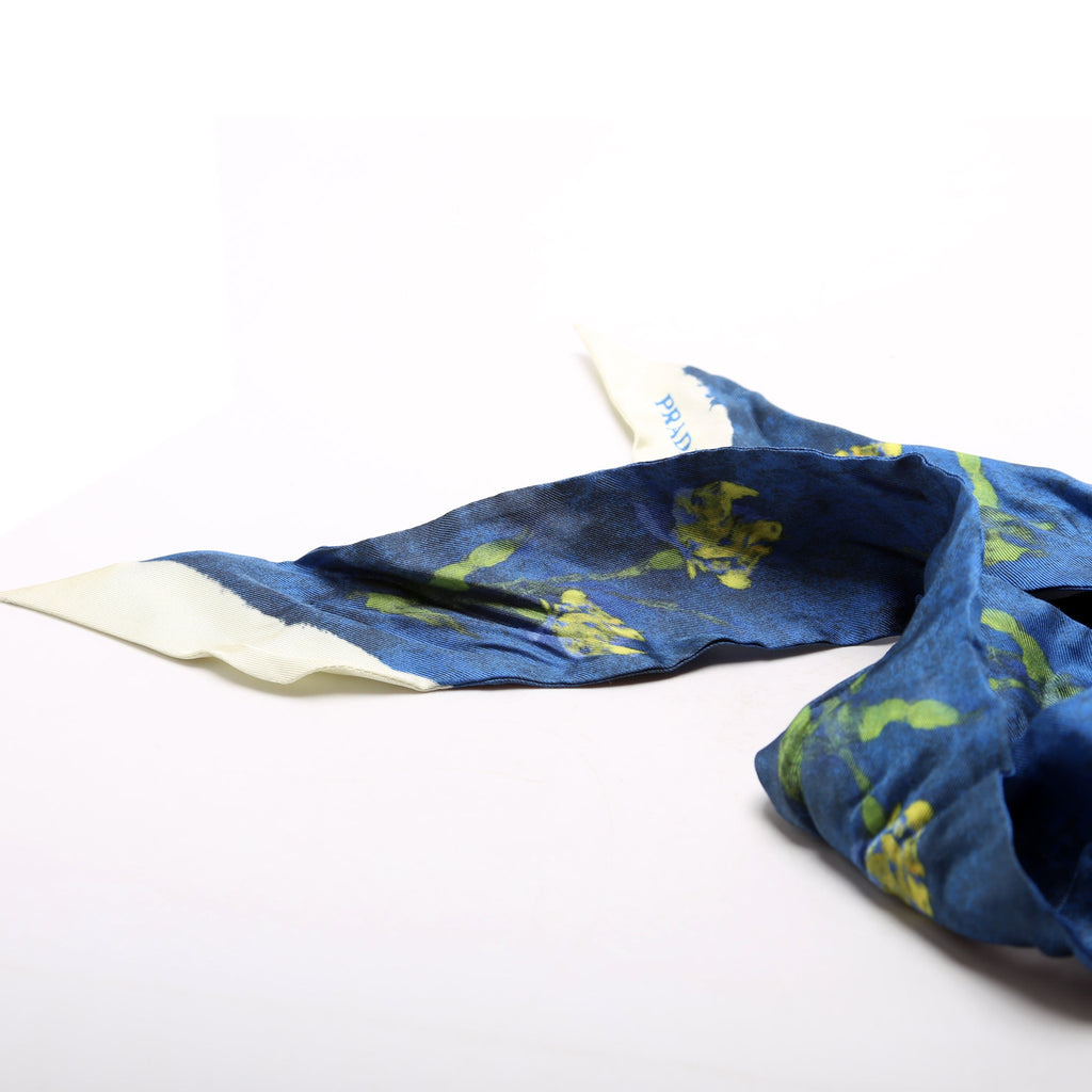 Printed Silk Twilly Scarf Blue/Multi
