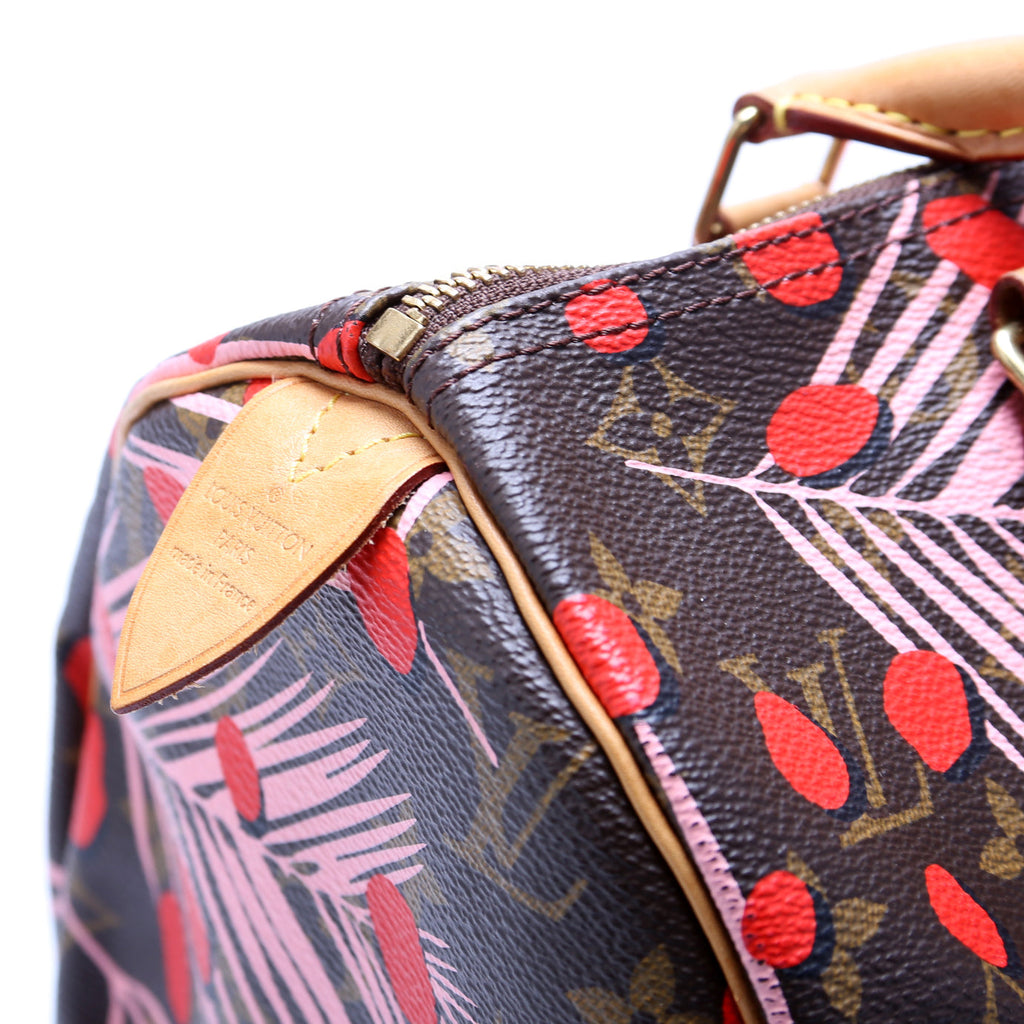 Speedy 30 Jungle Dots Monogram Pink