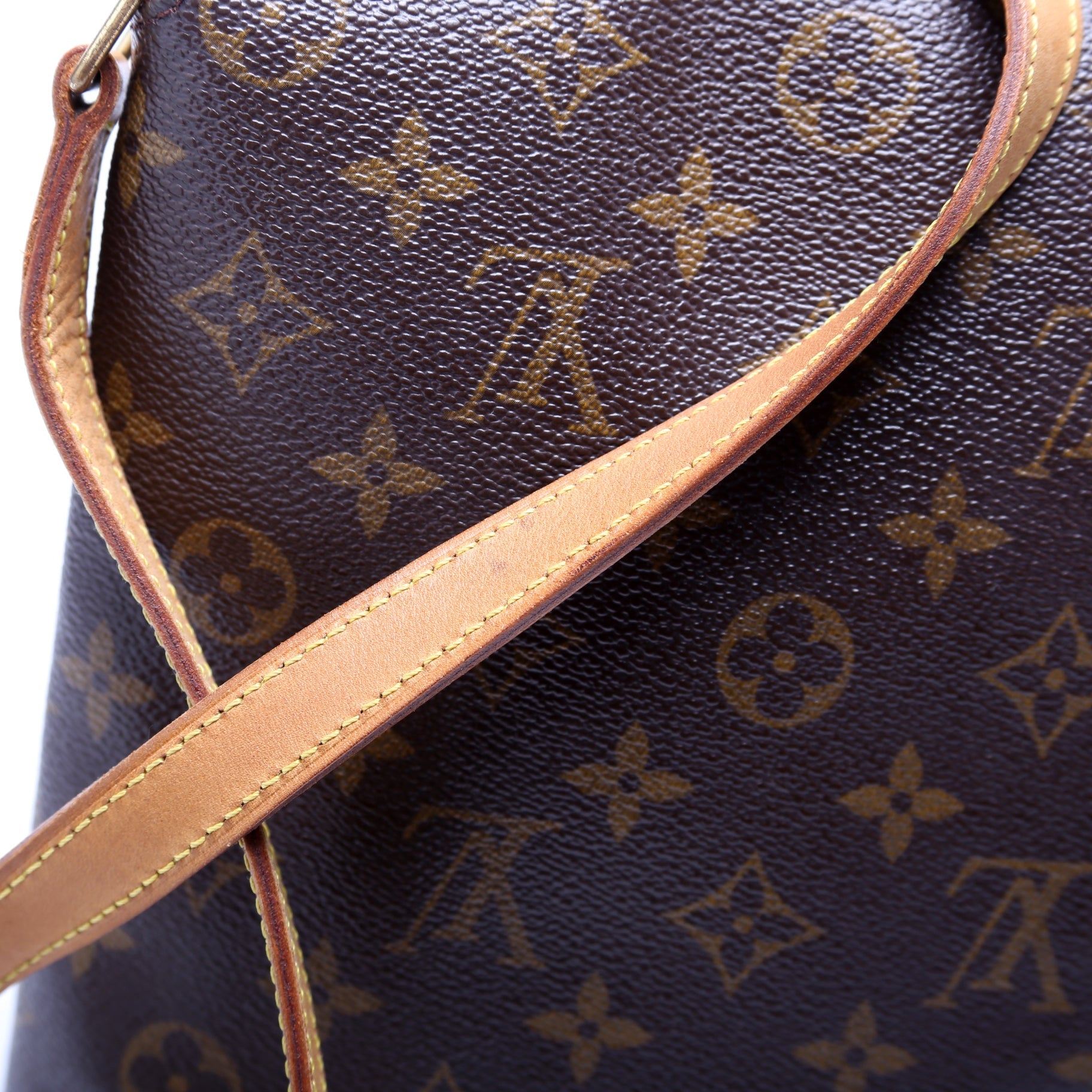 Musette Salsa Long Monogram